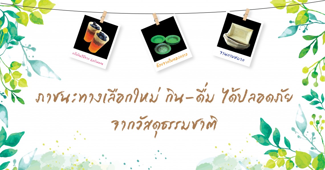 ภาชนะทางเลือกใหม่